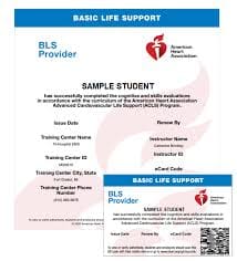 American Heart Association AHA BLS Provider Card Basic Life Support