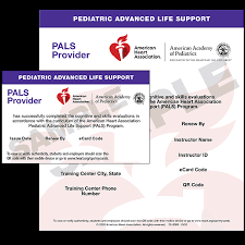 American Heart Association AHA PALS Provider Card Pediatric Advanced Life Support